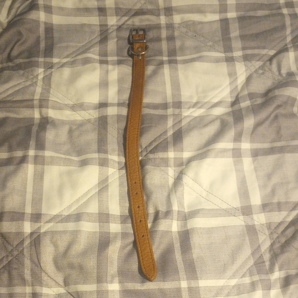 Brown Leather Dog Collar